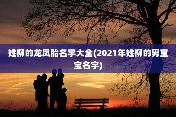 姓柳的龙凤胎名字大全(2021年姓柳的男宝宝名字)