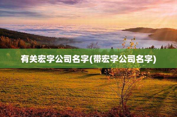 有关宏字公司名字(带宏字公司名字)