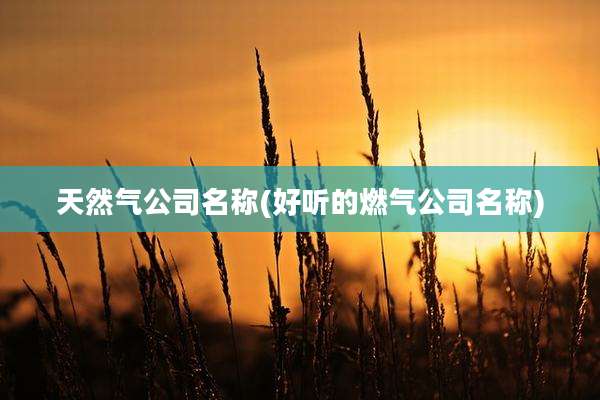 天然气公司名称(好听的燃气公司名称)