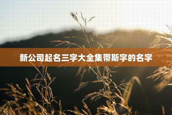 新公司起名三字大全集带斯字的名字