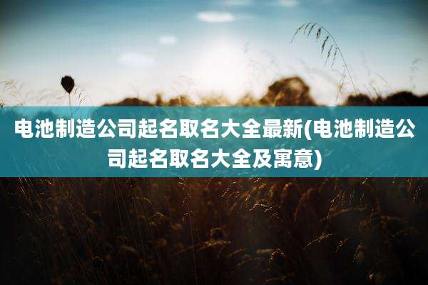 电池制造公司起名取名大全最新(电池制造公司起名取名大全及寓意)