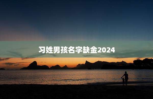 习姓男孩名字缺金2024