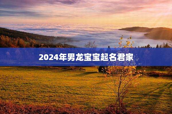 2024年男龙宝宝起名君家