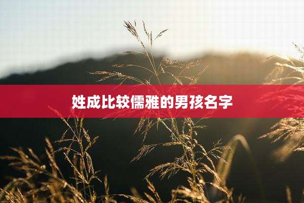 姓成比较儒雅的男孩名字