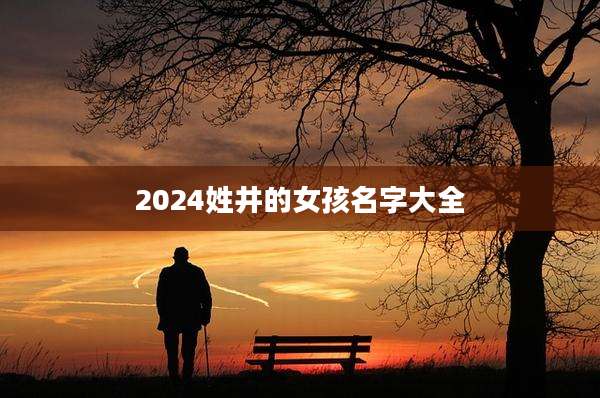 2024姓井的女孩名字大全