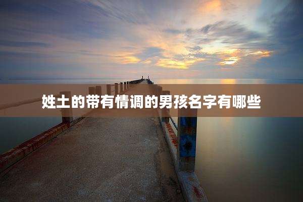 姓土的带有情调的男孩名字有哪些