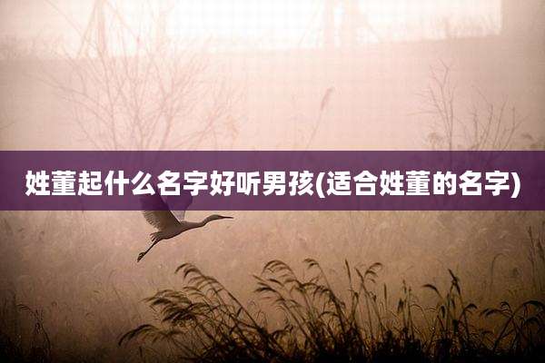 姓董起什么名字好听男孩(适合姓董的名字)