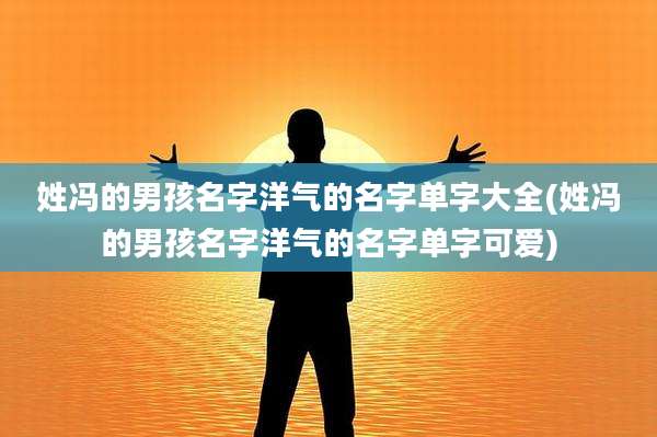 姓冯的男孩名字洋气的名字单字大全(姓冯的男孩名字洋气的名字单字可爱)