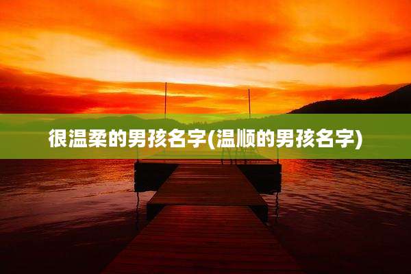 很温柔的男孩名字(温顺的男孩名字)