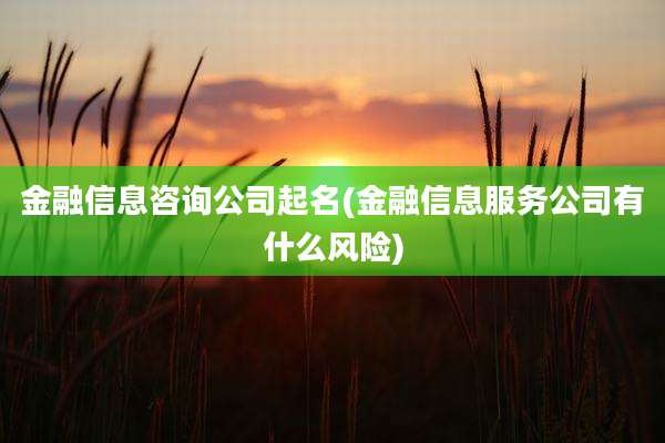 金融信息咨询公司起名(金融信息服务公司有什么风险)