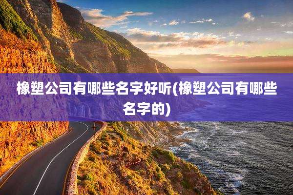 橡塑公司有哪些名字好听(橡塑公司有哪些名字的)