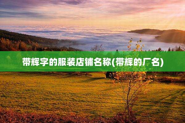 带辉字的服装店铺名称(带辉的厂名)