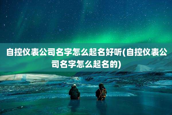 自控仪表公司名字怎么起名好听(自控仪表公司名字怎么起名的)