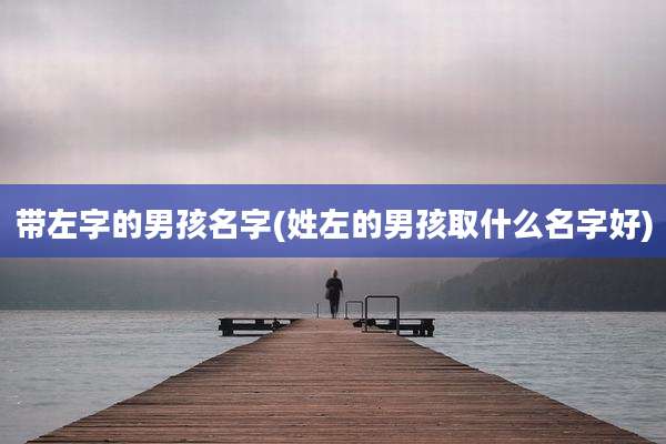 带左字的男孩名字(姓左的男孩取什么名字好)