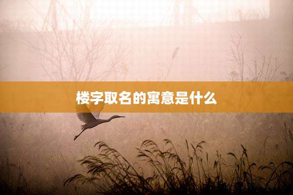 楼字取名的寓意是什么