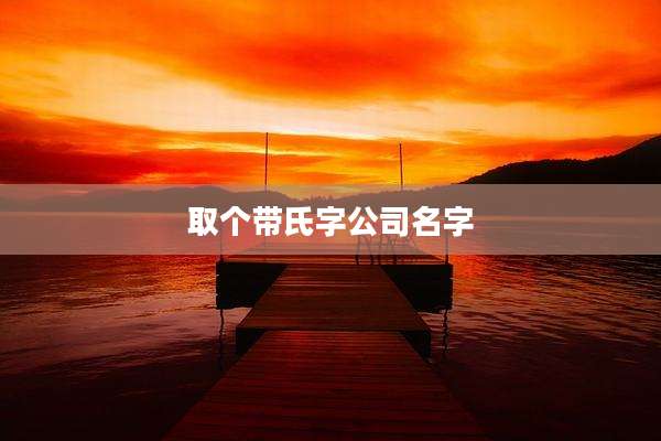 取个带氏字公司名字