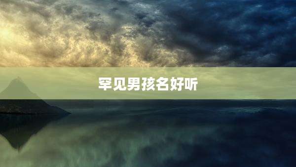 罕见男孩名好听