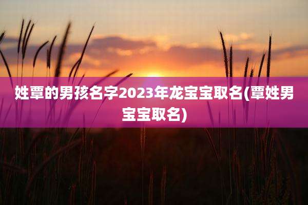 姓覃的男孩名字2023年龙宝宝取名(覃姓男宝宝取名)