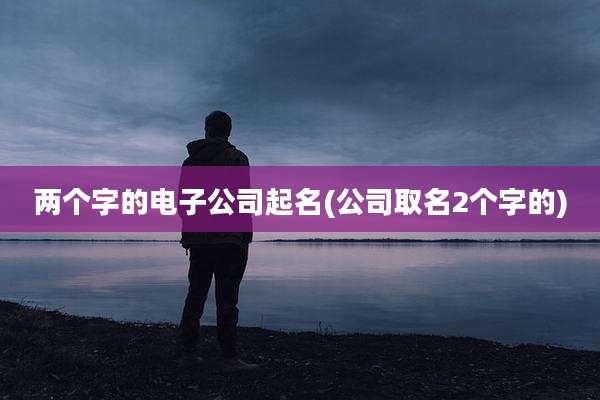 两个字的电子公司起名(公司取名2个字的)
