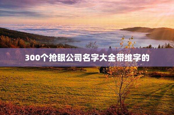 300个抢眼公司名字大全带维字的