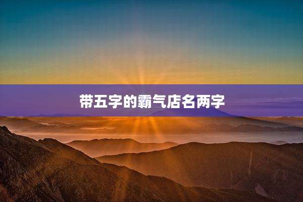 带五字的霸气店名两字
