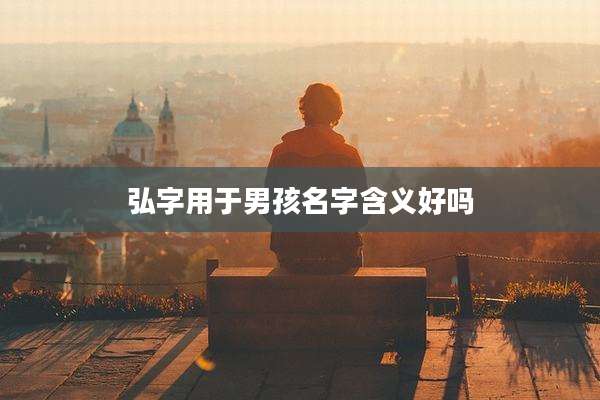 弘字用于男孩名字含义好吗