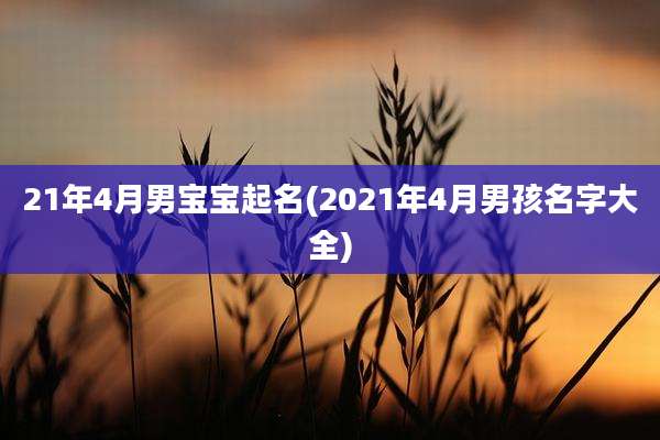 21年4月男宝宝起名(2021年4月男孩名字大全)
