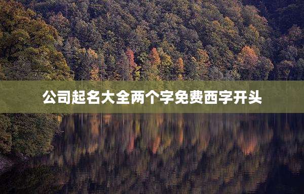 公司起名大全两个字免费西字开头