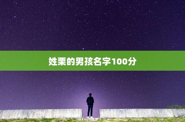 姓栗的男孩名字100分