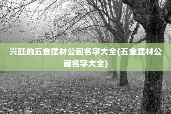 兴旺的五金建材公司名字大全(五金建材公司名字大全)