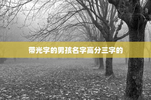 带光字的男孩名字高分三字的