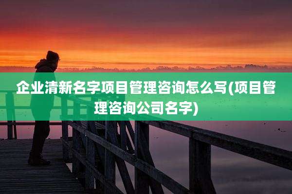 企业清新名字项目管理咨询怎么写(项目管理咨询公司名字)