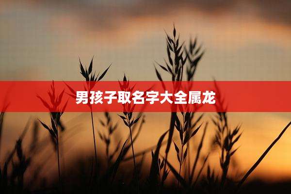 男孩子取名字大全属龙