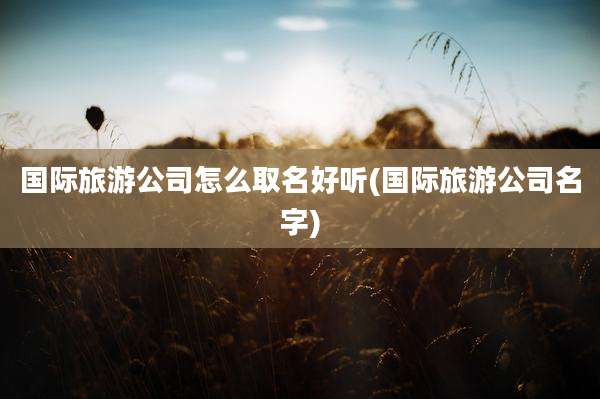 国际旅游公司怎么取名好听(国际旅游公司名字)