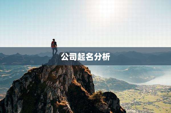 公司起名分析