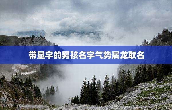 带显字的男孩名字气势属龙取名