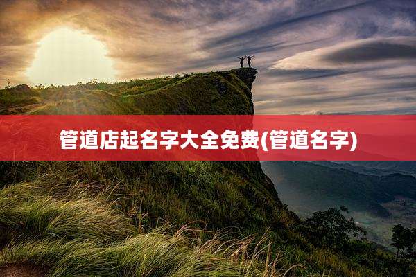 管道店起名字大全免费(管道名字)