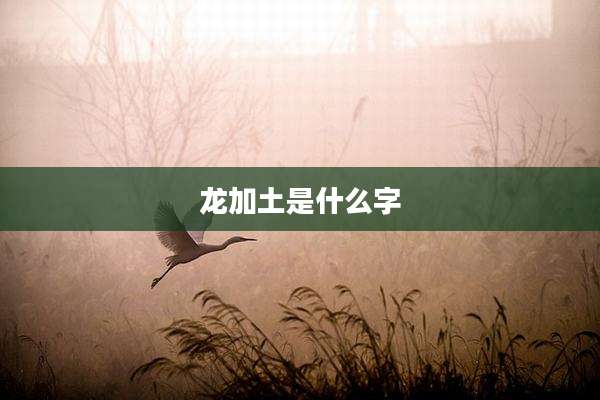 龙加土是什么字