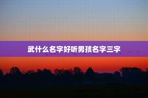武什么名字好听男孩名字三字