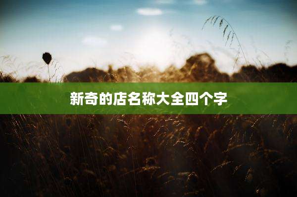 新奇的店名称大全四个字