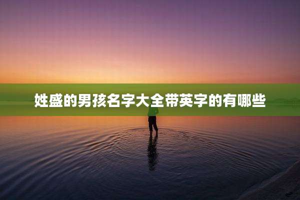 姓盛的男孩名字大全带英字的有哪些