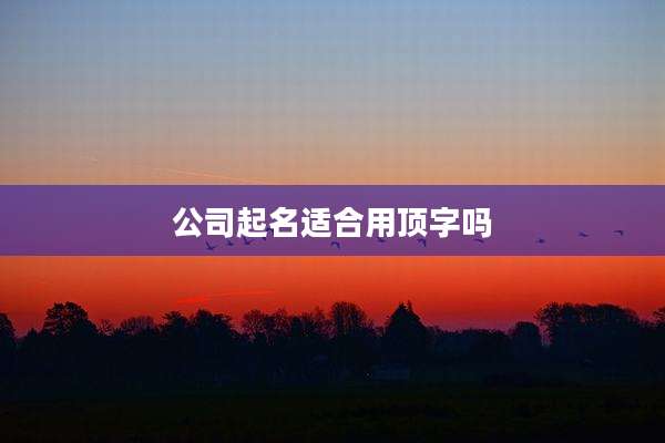 公司起名适合用顶字吗