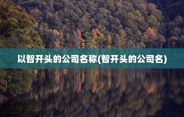 以智开头的公司名称(智开头的公司名)