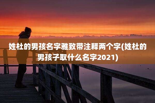 姓杜的男孩名字雅致带注释两个字(姓杜的男孩子取什么名字2021)