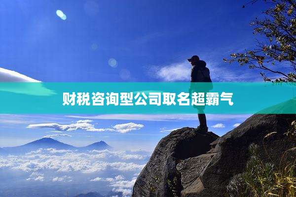 财税咨询型公司取名超霸气