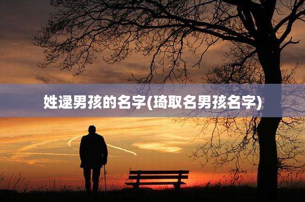 姓逯男孩的名字(琦取名男孩名字)