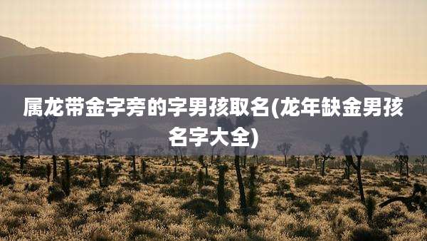 属龙带金字旁的字男孩取名(龙年缺金男孩名字大全)