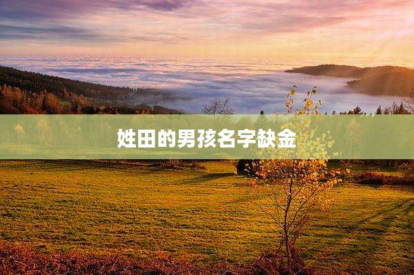 姓田的男孩名字缺金