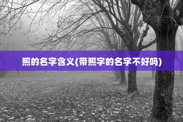照的名字含义(带照字的名字不好吗)