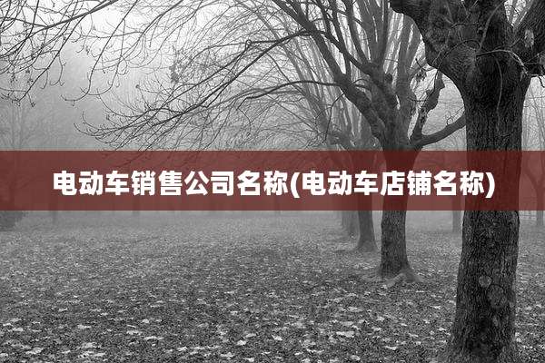 电动车销售公司名称(电动车店铺名称)